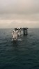 Interstellar 2014 cosmonaute à la mer.jpg, janv. 2024