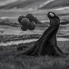Joachim Bergauer les ballons noirs les fêtes macabres mitose et méiose chez les eucaryotes
