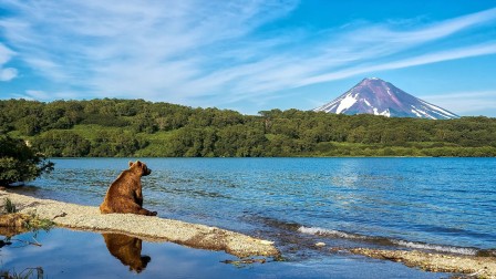 Kamchatka ours au bord de l'eau le dimanche on se fait toujours un peu chier