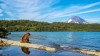Kamchatka ours au bord de l'eau le dimanche on se fait toujours un peu chier