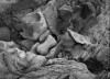 Ketil Born Vendredi ou les limbes du Pacifique Michel Tournier