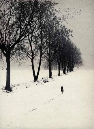 cheminant à côté d'une ligne d'arbres noirs, une silhouette s'éloigne dans le paysage hivernal