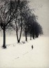 cheminant à côté d'une ligne d'arbres noirs, une silhouette s'éloigne dans le paysage hivernal