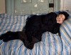Louise Bourgeois se détendant dans son atelier parisien