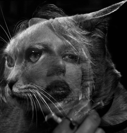 Lydia Roberts femme chat catwoman