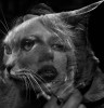 Lydia Roberts femme chat catwoman