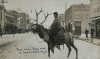 Man riding an elk in Sheridan, Wyoming. (c. 1910) nouvel an un élan nouveau