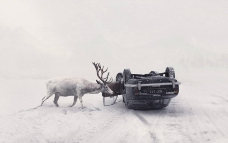 Martin Stranka cerf renne devant une voiture retournée sur la neige Fargo