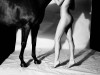 Nathan Coe les jambes du cheval et celles de la cavalière