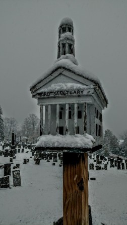 Next to the graveyard the old bird sanctuary le cimetière des oiseaux.jpg, janv. 2024