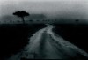 dans un jour gris, un chemin détrempé sinue dans la campagne