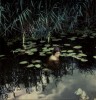 Olga Anna Markowska Aleksandra le bain d'Ophelia