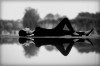 Öner Ilkme couchée sur l'eau