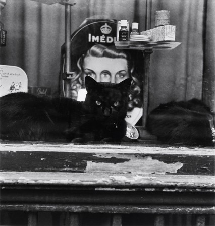Paris, Photo by Louis Stettner, 1951 la femme derrière le chat