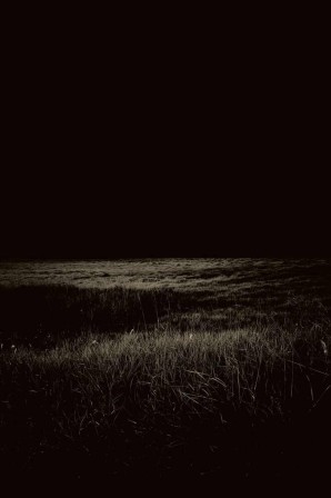 Paul Cupido Moonlit Grasses l'herbe de lune l'herbe de nuit