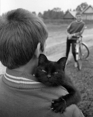 Paul McCain le chat et son homme domestique