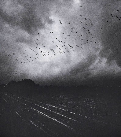 Pentti Sammallahti. Kitakata-Shi, Japan, 2005 escadrilles d'oiseaux et rails de la terre