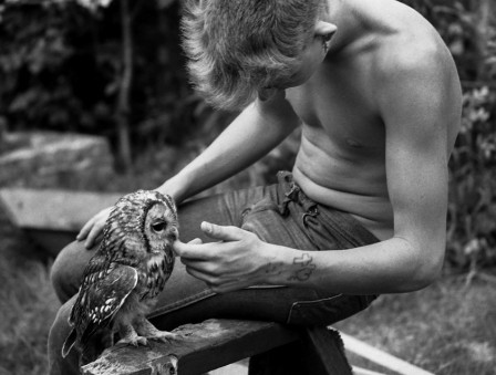 Photo by Gavin Watson l'homme et la chouette oiseau celles qui restaient insensibles à mes avances