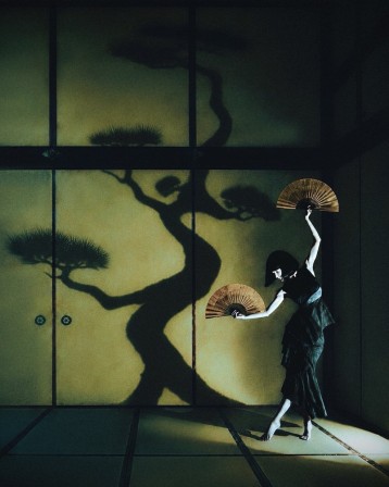 Photography by Daniel Hsu ombre chinoise de l'arbre