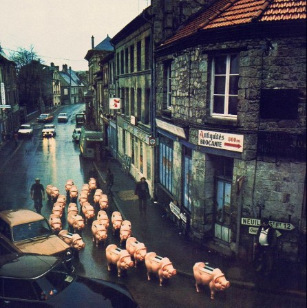 Pink Floyd, Animals, France, 1977 dimanche jour de liesse