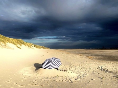 Richard Kiewiet, Optimist parasol le bunker