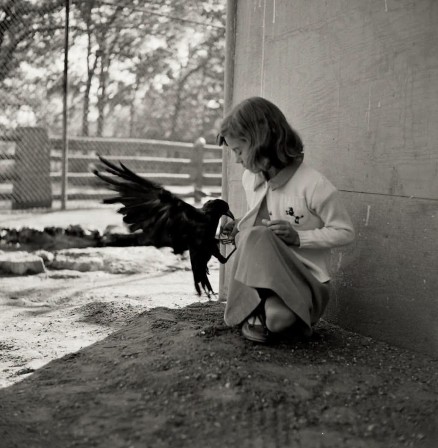 Robert W. Kelley (Américain, 1920 - 1991), Charlotte, Caroline du Nord, ca. 1935 oiseau les ailes en arrière
