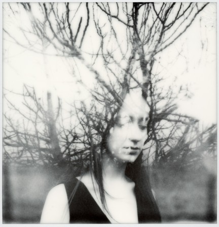 Rocco Carnevale Fusion des arbres plein la tête