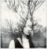 Rocco Carnevale Fusion des arbres plein la tête