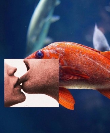 SWIPE — Work by Rémi @emirshiro (collage artist) le baiser de la femme poisson