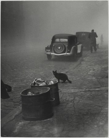une rue déserte dans la brume, les poubelles sorties sur le trottoir, une traction avant garée, un homme s'éloigne, la ville est livrée au chat