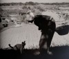 dans les champs, une femme s'incline vers un jeune chat