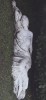 Sophie Calle. Dead in a Good Mood, from True Stories (photo book), 2017 mort debout les mortes elle a deux trous rouges au côté droit