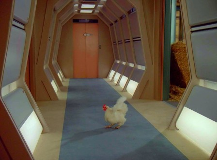 Star Trek The Next Generation poule dans l'espace.jpg, févr. 2024