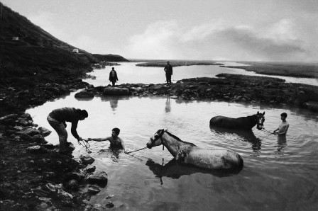 Suzan Pektaş from series “Human Landscapes From East Anatolia” Turkey, January, 2018  cheval le bain des chevaux