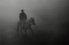 T Lazy S - Battle Mountain, Photo by John Langmore, 2012 cheval Zorro brouillard cowboy dans la brume