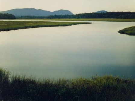 Tidal Marsh, Mt. Desert Island, Maine, August 4, 1965. photo by Eliot Porter les eaux calmes