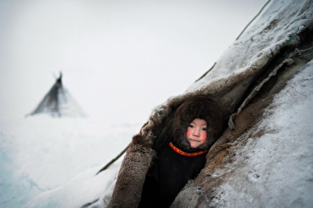Tommaso Vecchi. Before the migration, Siberia. matin frais