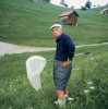 Vladimir Nabokov le chasseur de papillons la nuit du chasseur