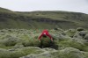 Zugunruhe, photographed by Laia Gutiérrez (2015) tache rouge sur algues vertes