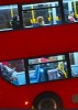 bus être un chien oui mais un chien anglais