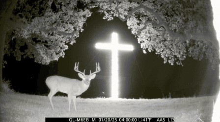cerf dans la nuit derrière une église à la croix lumineuse