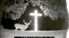 cerf dans la nuit derrière une église à la croix lumineuse