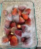 fraises moisies moisissures cheveux blancs