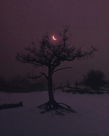 lights and darkness by nona limmen arbre lune neige oh les beaux jours.jpg, janv. 2024