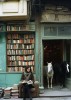 deux chevaux sortent d'une librairie, une jeune femme, assise dans un fauteuil dans la rue, feuillette des livres posés directement sur le trottoir