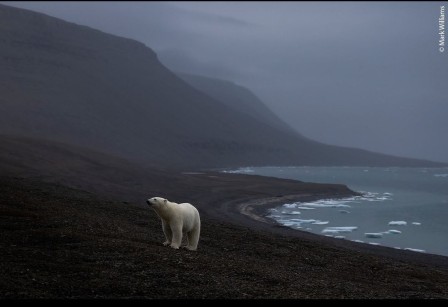 ours y aura t'il de la neige pour skier cet hiver.jpg, févr. 2024