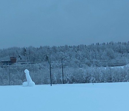 snow penis in a field finland dec. 30. 2023 souvenir de la Finlande sous la neige.jpg, janv. 2024