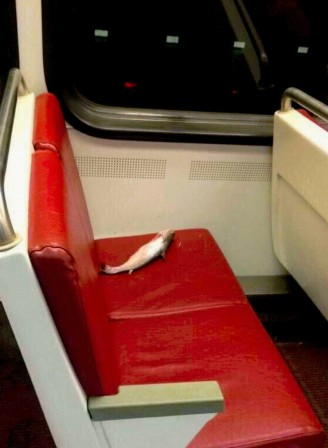 train poisson d'avril