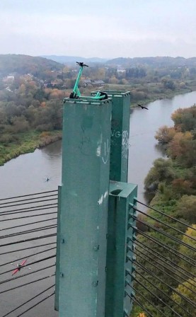 trottinette über alles trottinette électrique trônant en haut du pilier d'un pont