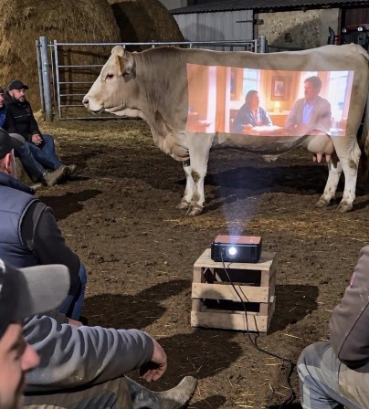vache soirée cinéma à la ferme